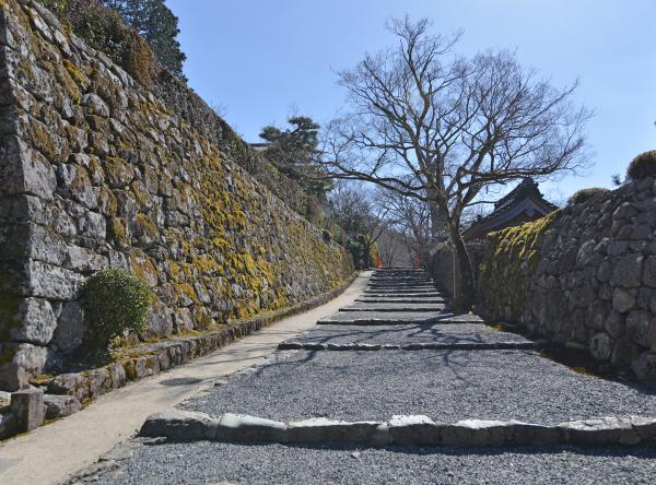 https://www.db.kansai-maas.jp/image/photos/f925e8f8-d55a-41d3-be74-496fce412a83.jpg