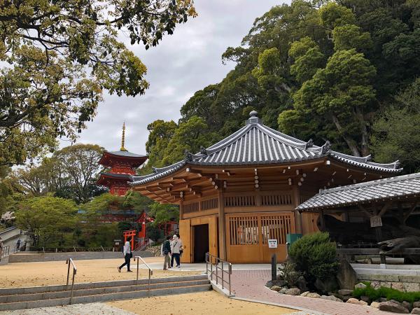 https://www.db.kansai-maas.jp/image/photos/f9bcca1f-54ce-4fb2-8ebb-4d21fd5cc95a.jpg
