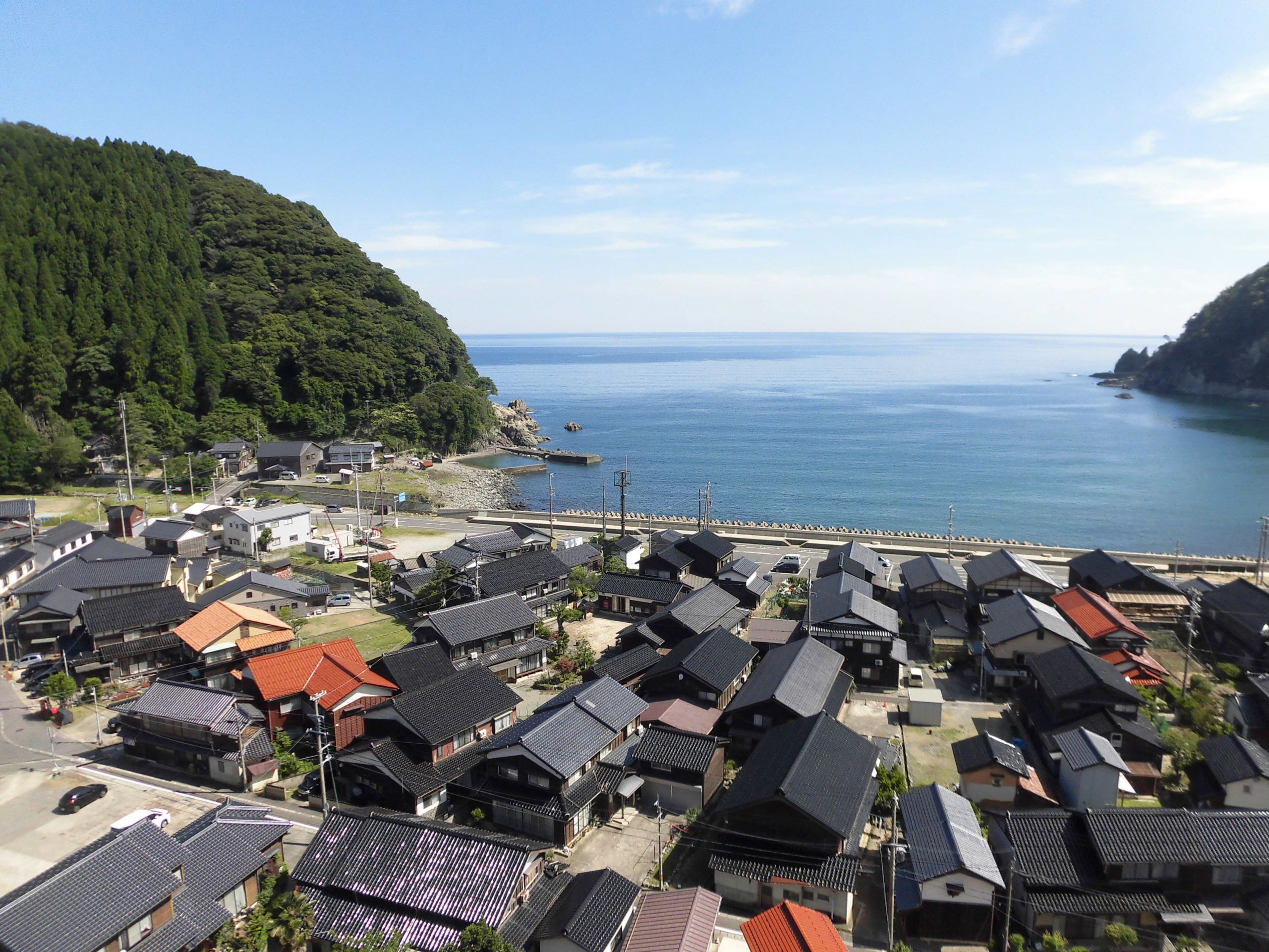 https://www.db.kansai-maas.jp/image/photos/fab0bc16-4bdb-4af6-a809-f0aede09486a.JPG