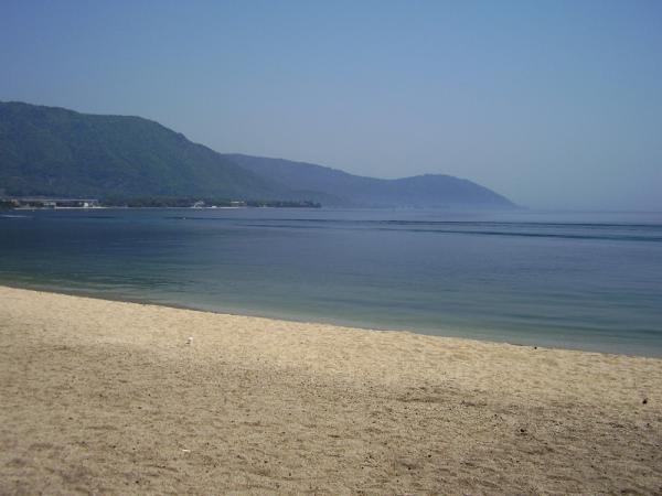 https://www.db.kansai-maas.jp/image/photos/fb46f4bc-3a03-49bd-98c1-2f3fb49e59c8.jpg