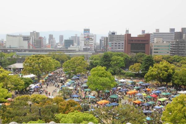 https://www.db.kansai-maas.jp/image/photos/fd43f56f-cd81-401c-8c14-e3c8c57f959e.jpg