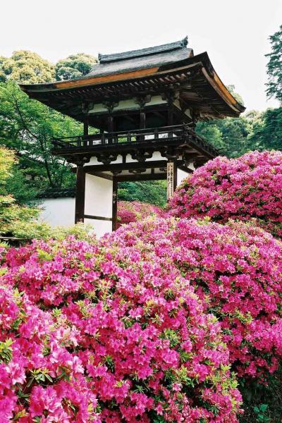 https://www.db.kansai-maas.jp/image/photos/fe74b476-4ea0-44a6-be6c-70a169c6a271.jpg