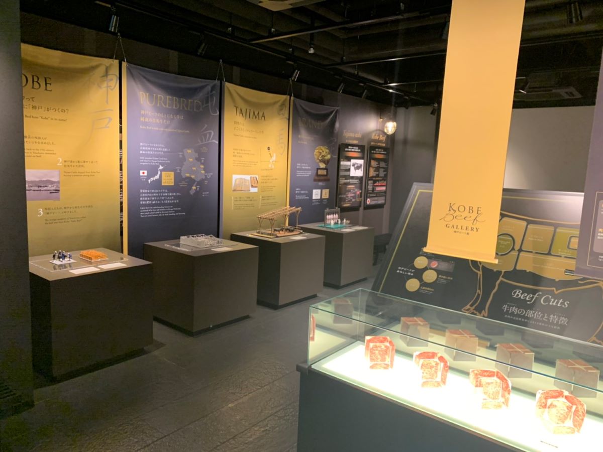 https://www.db.kansai-maas.jp/image/photos/fec8e0d5-6648-4f63-aad8-278980215e54.jpg