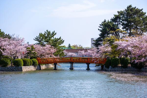 https://www.db.kansai-maas.jp/image/photos/ff12d2a8-094c-4dee-b9e6-d63afb34dda2.jpg