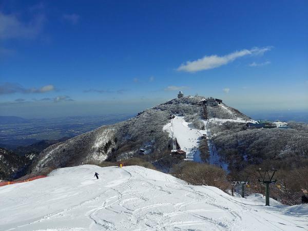 https://www.db.kansai-maas.jp/image/photos/ff54fb13-26b1-4b2d-9cea-f6b7ad64ebfd.jpg