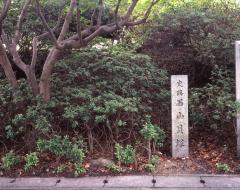 pc_thumnail_13791