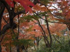 pc_thumnail_13241