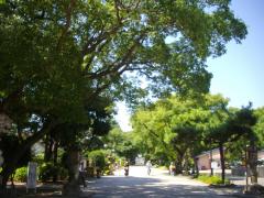 pc_thumnail_13437