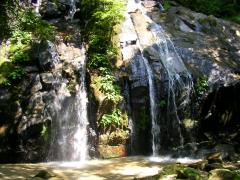 pc_thumnail_13446