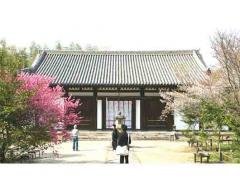 pc_thumnail_13054