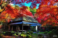 pc_thumnail_12551